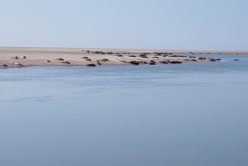 Maison Berckoise Belle Epoque - Plage Et Centre Zewnętrze zdjęcie